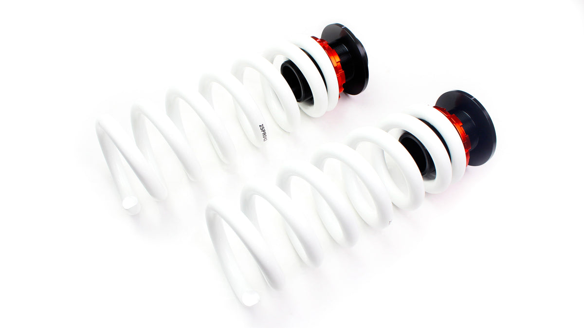 DGR Coilovers | RC Racing Series (Mercedes Benz S124 Estate)
