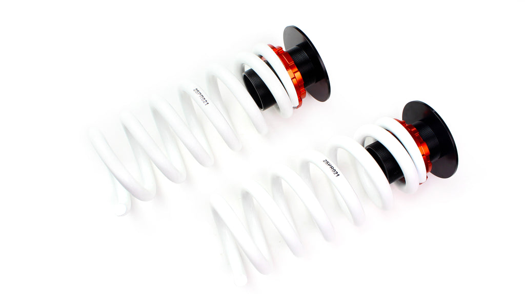 DGR Coilovers | RC Racing Series (Mercedes-Benz C Class W201)