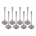 Proflow Maxflow Valves, Holden SuperMax Heads, Intake, Stainless Steel, 2.020 in. Diameter, 5/16'' Stem, 5.400 in. Length, Set of 8